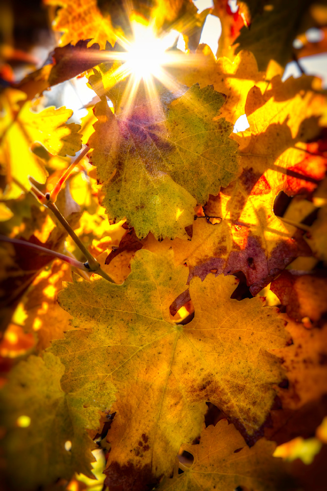 E8 A0113 Edited 2 Edit 20x30 Crop Photography Art | Michael Malandra Fine Art & Photography