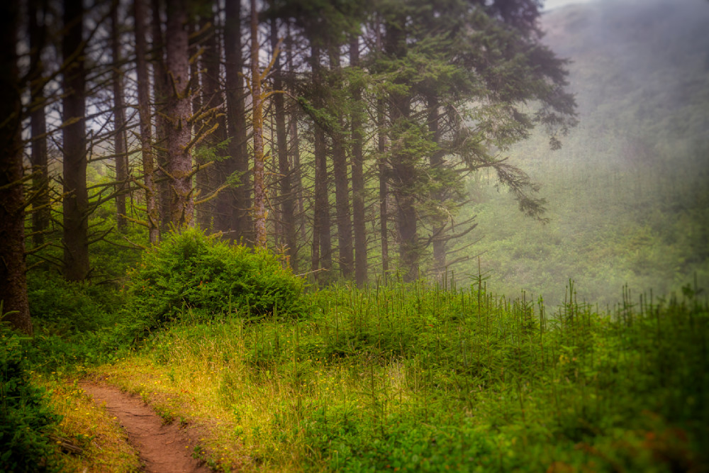 Mg 6679 Edited 1024 20x30 Crop Photography Art | Michael Malandra Fine Art & Photography