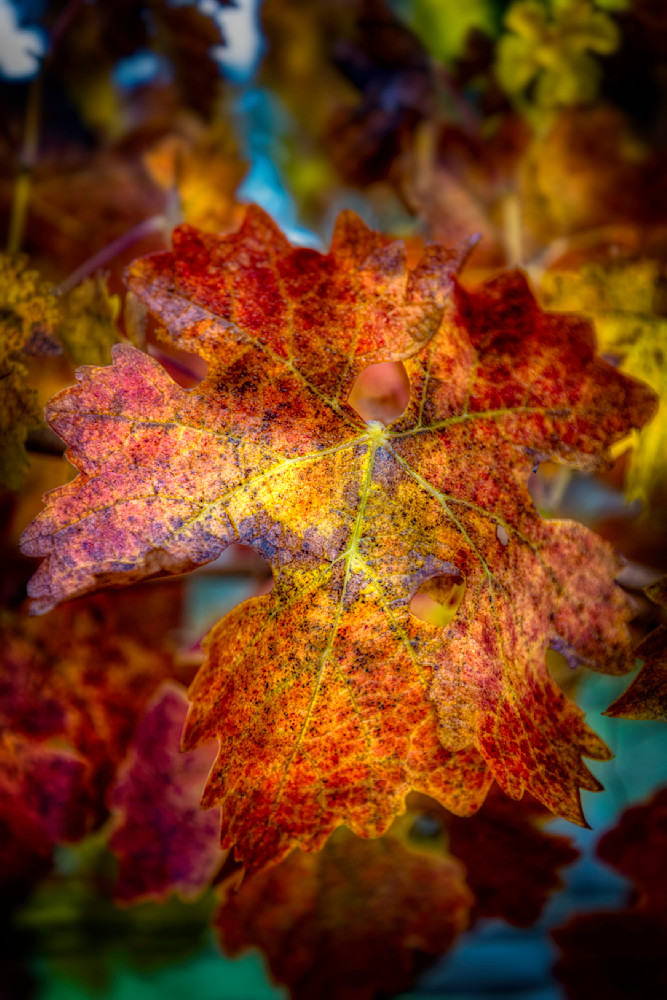 E8 A0143 Edited 2 Edit 20x30 Crop Photography Art | Michael Malandra Fine Art & Photography