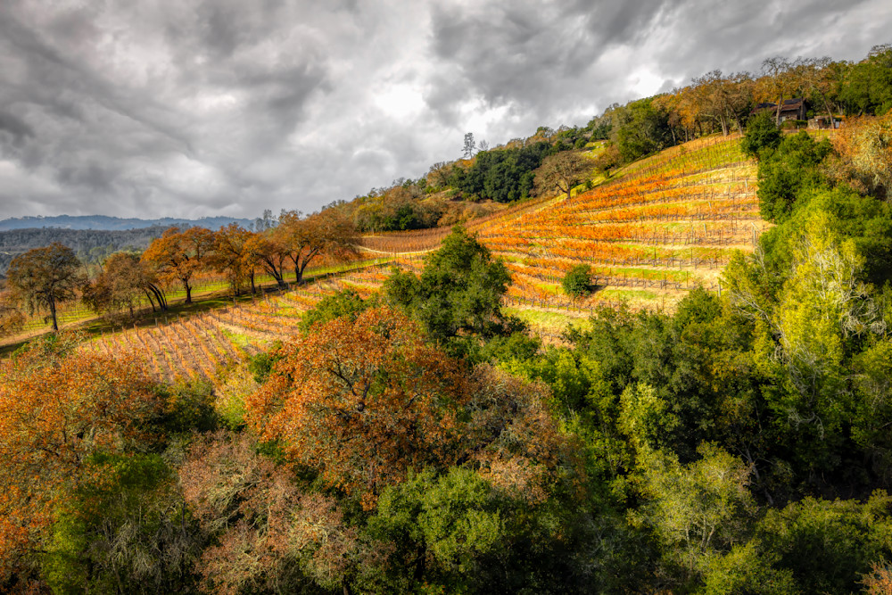 E8 A0258 Edited 20x30 Crop Photography Art | Michael Malandra Fine Art & Photography