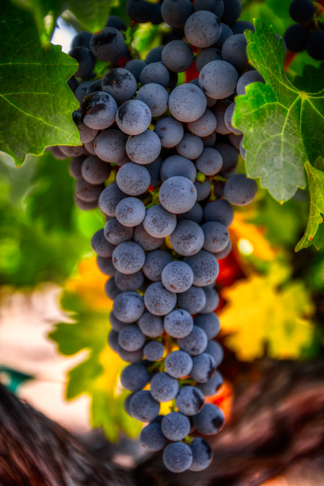 Mg 7610 Edited 1024 20x30 Crop Photography Art | Michael Malandra Fine Art & Photography