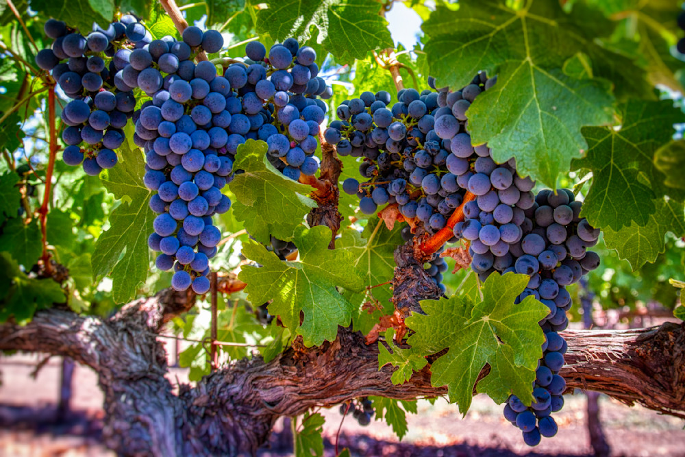 Mg 7616 Edited 1024 20x30 Crop Photography Art | Michael Malandra Fine Art & Photography