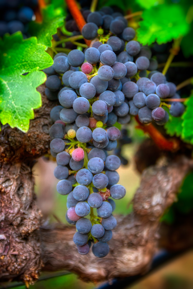 Mg 7729 Edited 1024 20x30 Crop Photography Art | Michael Malandra Fine Art & Photography