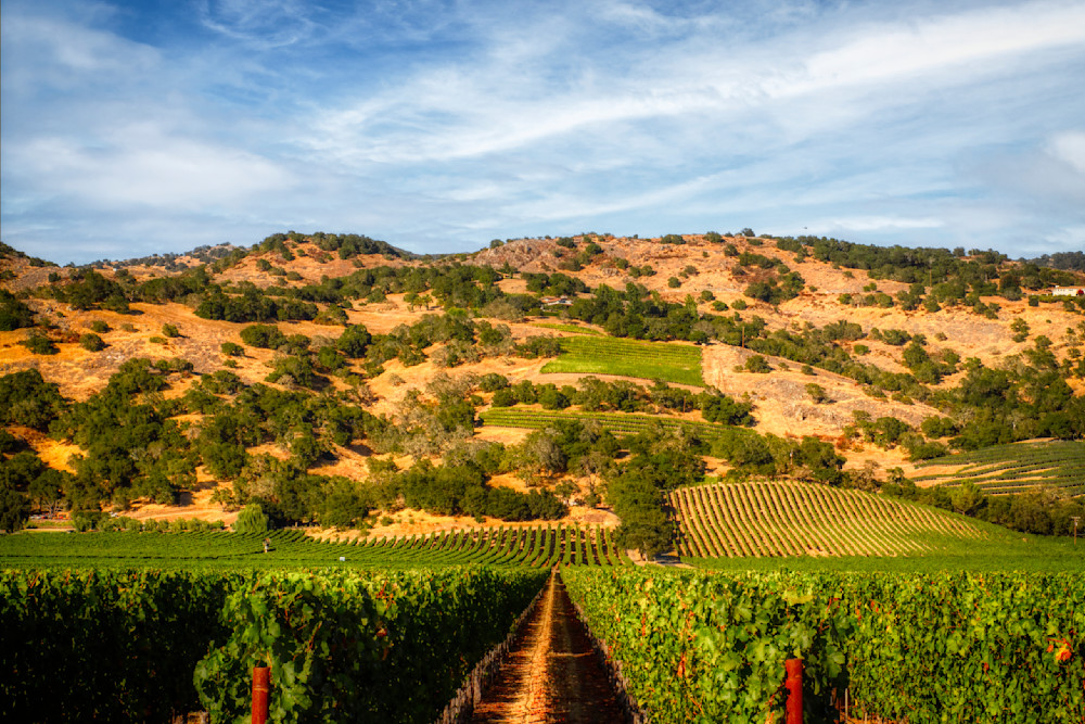 Mg 7678 Edited 1024 20x30 Crop Photography Art | Michael Malandra Fine Art & Photography