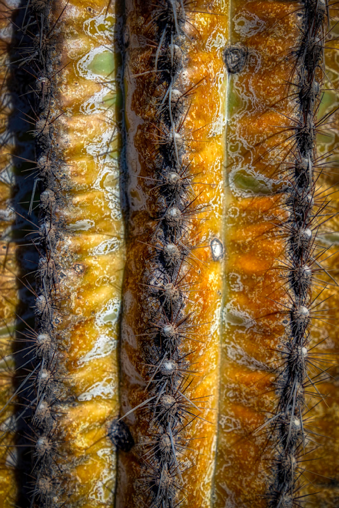 E8 A0727 Edited 0225 20x30 Crop Photography Art | Michael Malandra Fine Art & Photography