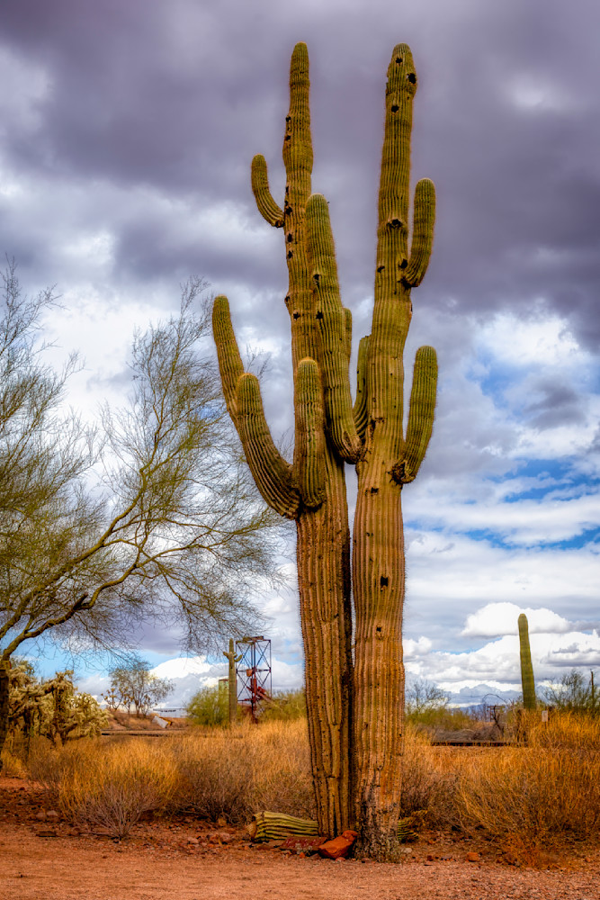 E8 A0581 Edited 0225 20x30 Crop Photography Art | Michael Malandra Fine Art & Photography