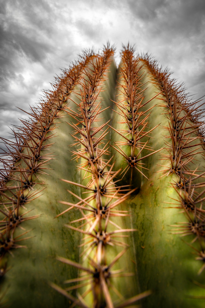 E8 A0591 Edited 0225 20x30 Crop Photography Art | Michael Malandra Fine Art & Photography