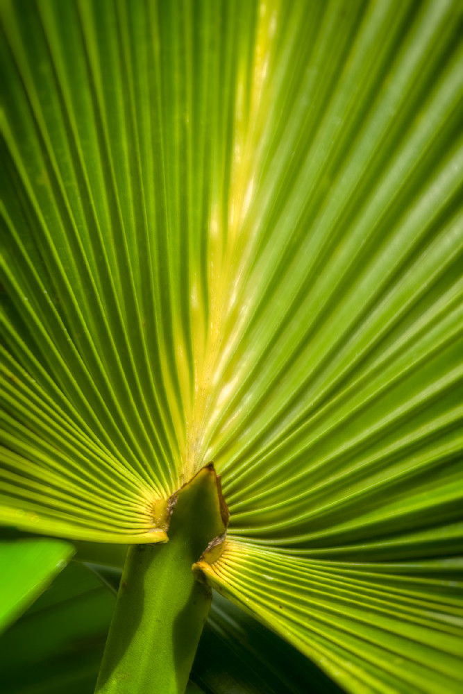 Mg 6765 Edited 0125 20x30 Crop Photography Art | Michael Malandra Fine Art & Photography