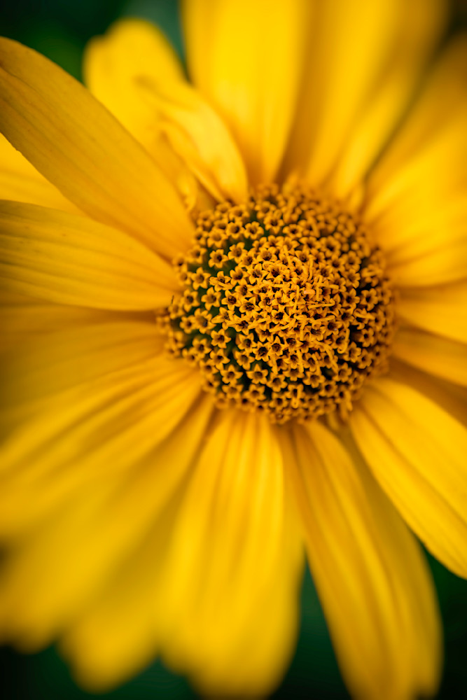 E8 A5716 Edited 1223 20x30 Crop Photography Art | Michael Malandra Fine Art & Photography