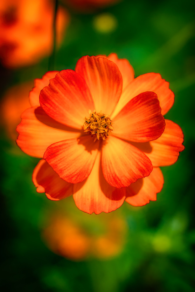 E8 A7558 Edited 1223 20x30 Crop Photography Art | Michael Malandra Fine Art & Photography