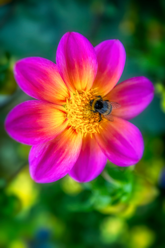 E8 A9383 20x30 Crop Photography Art | Michael Malandra Fine Art & Photography