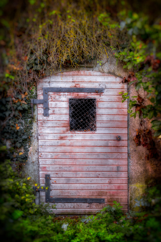 E8 A9439 20x30 Crop Photography Art | Michael Malandra Fine Art & Photography