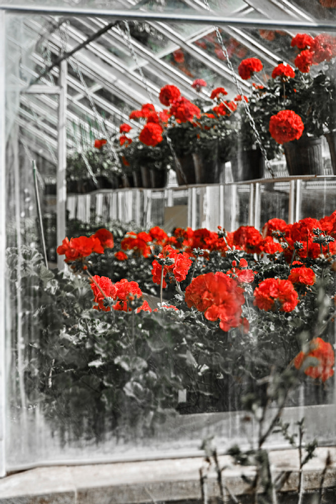 Mg 0964 Desktop Edited 1223 20x30 Crop Photography Art | Michael Malandra Fine Art & Photography