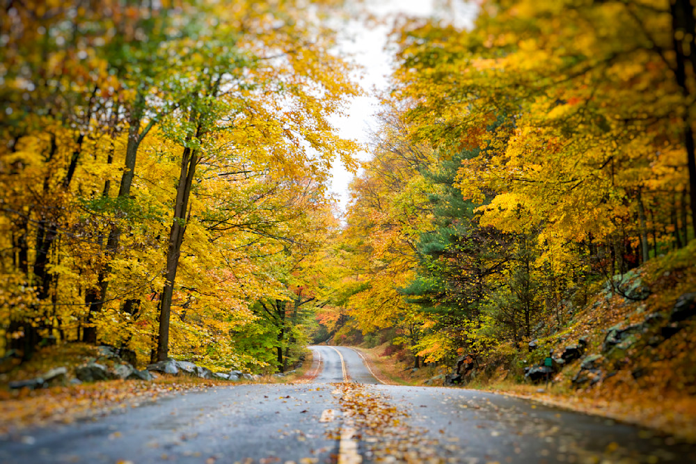 Mg 2199 Edited 1223 Copy Photography Art | Michael Malandra Fine Art & Photography