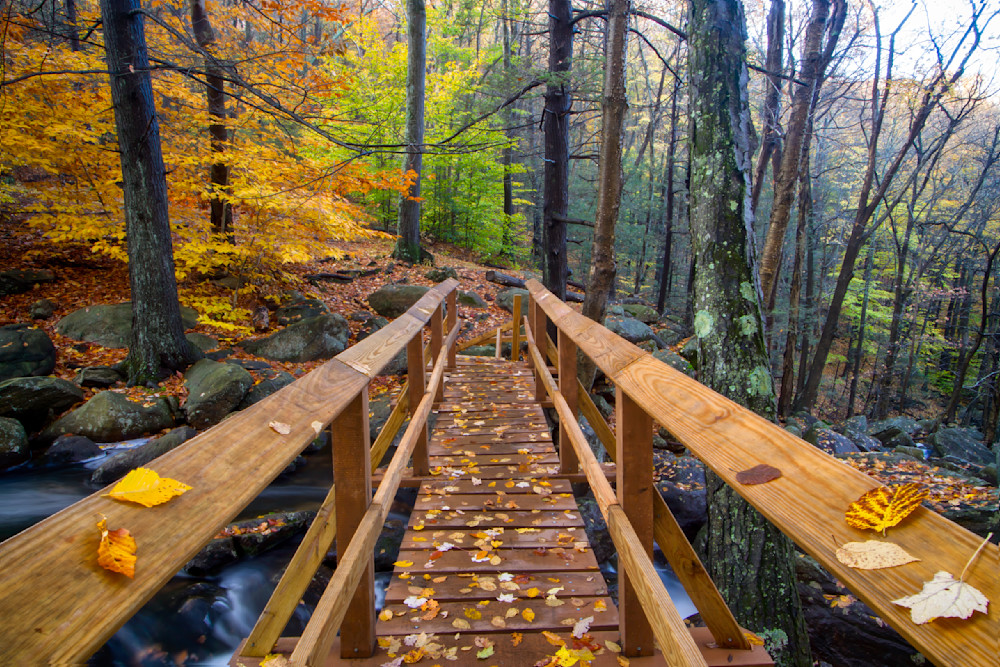 Mg 2388 Edited 1223 20x30 Crop Photography Art | Michael Malandra Fine Art & Photography