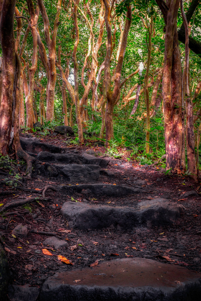 Mg 3497 Edited 0125 Edit 20x30 Crop Photography Art | Michael Malandra Fine Art & Photography