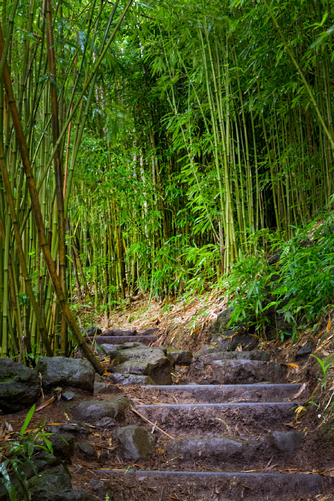 Mg 3504 Edited 1223 20x30 Photography Art | Michael Malandra Fine Art & Photography