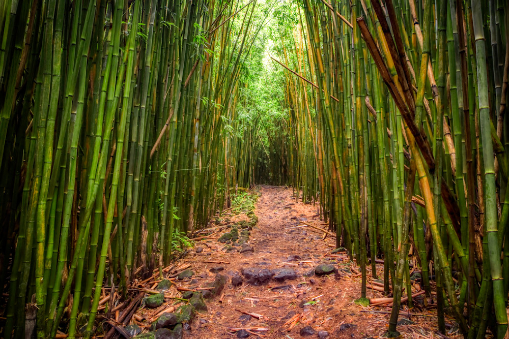 Mg 3517 Edited 0125 Edit 20x30 Crop Photography Art | Michael Malandra Fine Art & Photography