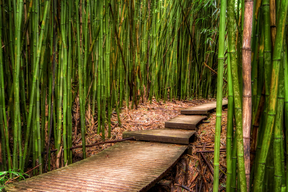 Mg 3522 Edited 1223 Edit 20x30 Crop Photography Art | Michael Malandra Fine Art & Photography