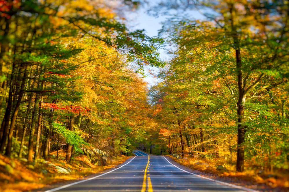 Mg 5578 Edited 1223 20x30 Crop Photography Art | Michael Malandra Fine Art & Photography