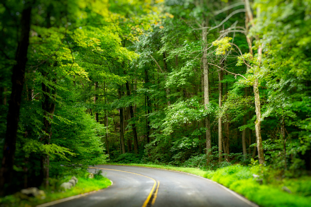 Mg 9949 Edited 1223 20x30 Crop Photography Art | Michael Malandra Fine Art & Photography