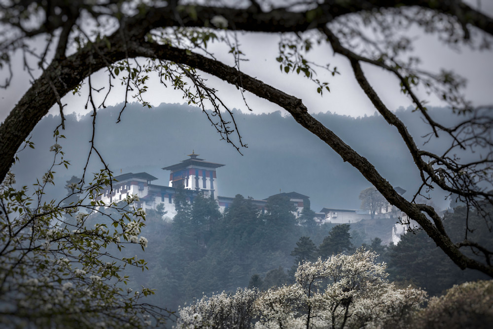 E8 A3773 Edited 0525 Edit 2 20x30 Crop Photography Art | Michael Malandra Fine Art & Photography