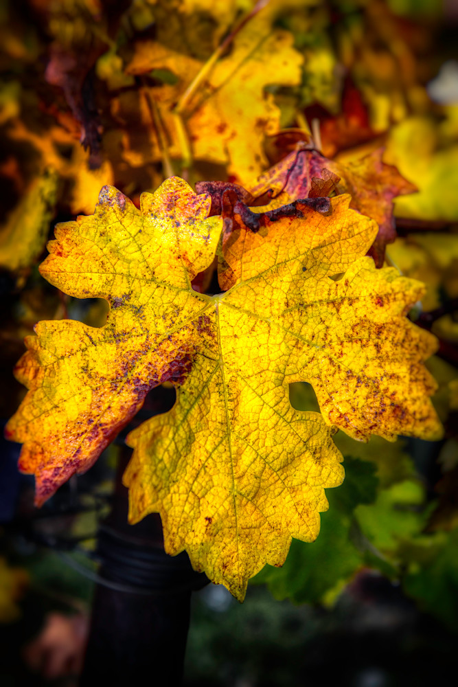 E8 A0137 Edited Edit 20x30 Crop Photography Art | Michael Malandra Fine Art & Photography