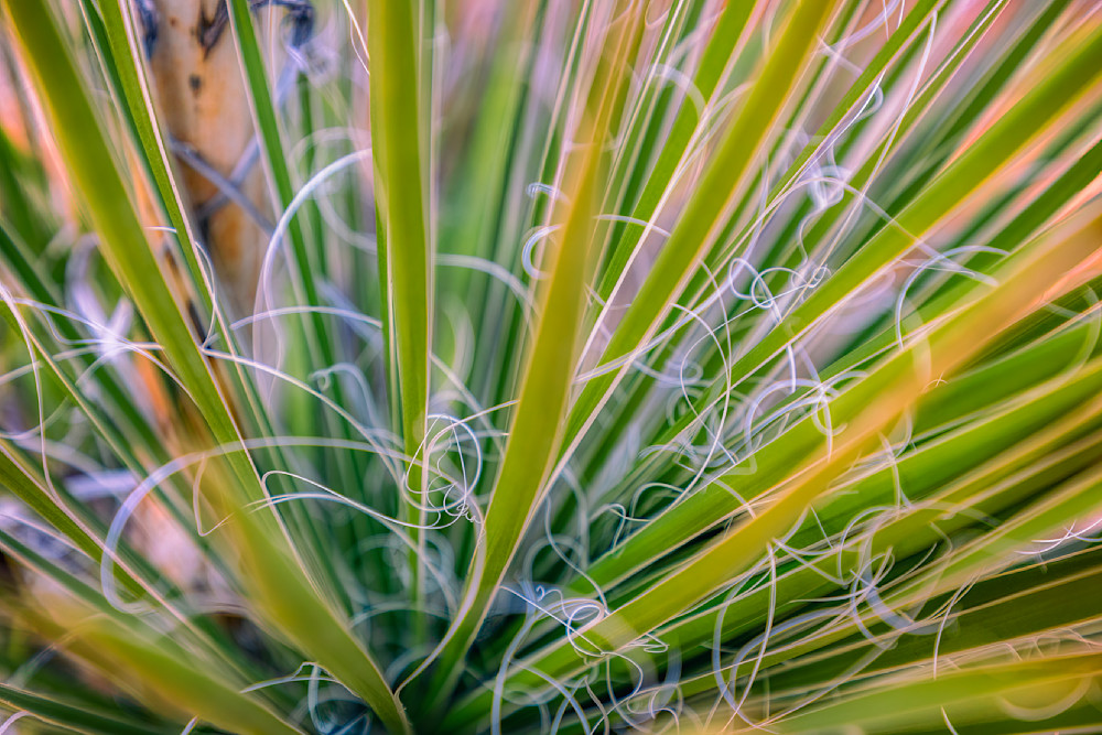 E8 A0376 Edited 20x30 Crop Photography Art | Michael Malandra Fine Art & Photography