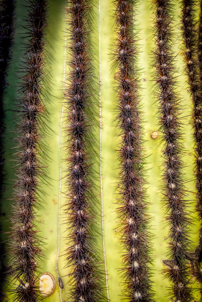 E8 A0737 Edited 0225 20x30 Crop Photography Art | Michael Malandra Fine Art & Photography