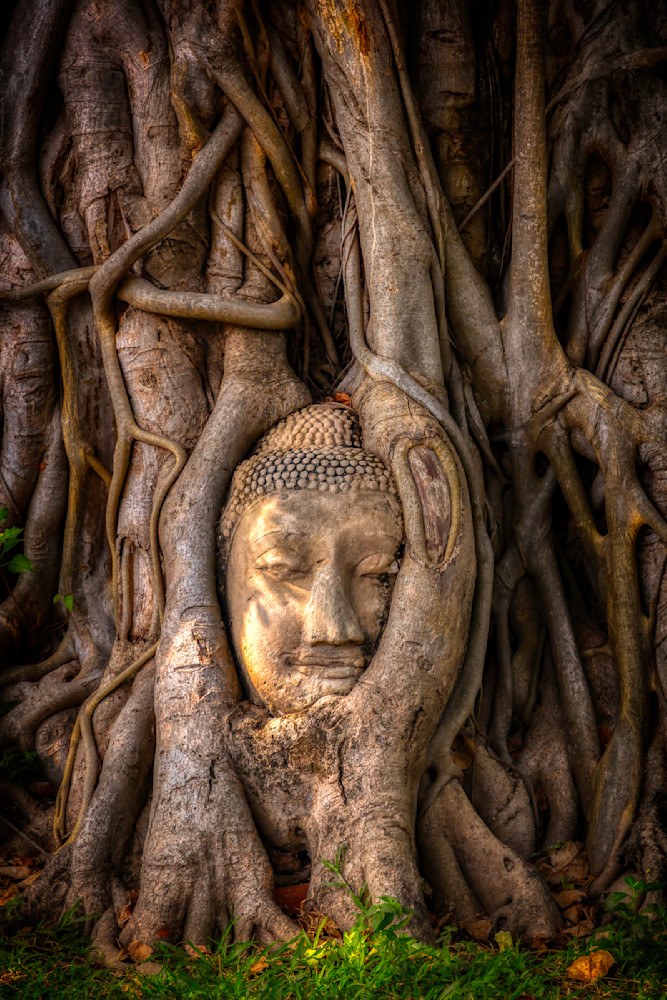 E8 A1068 Edited 0425 2 20x30 Crop Photography Art | Michael Malandra Fine Art & Photography