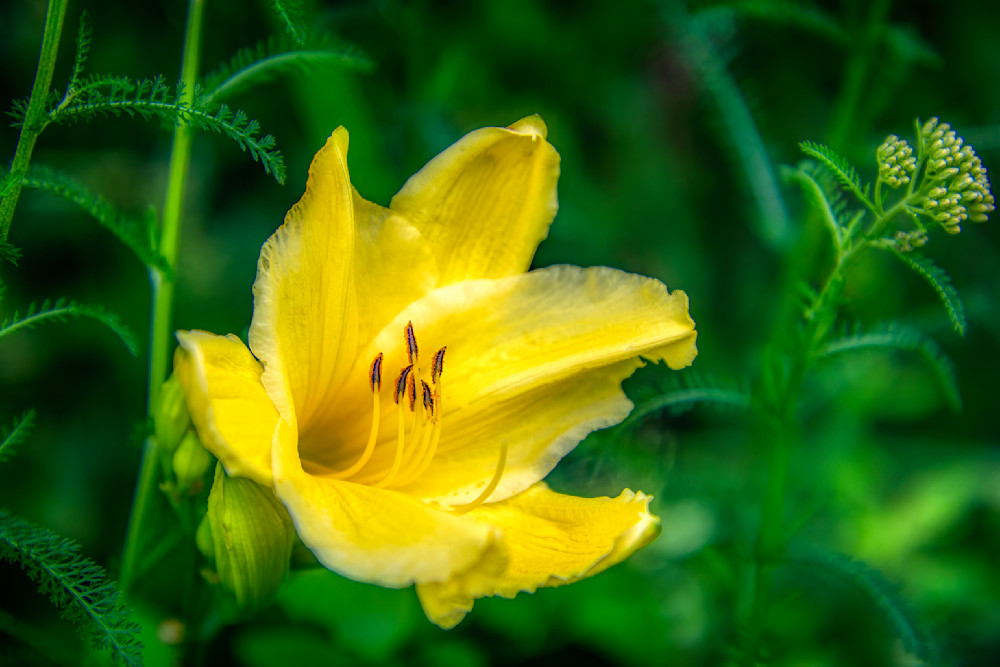 E8 A5532 Edited 1223 20x30 Crop Photography Art | Michael Malandra Fine Art & Photography