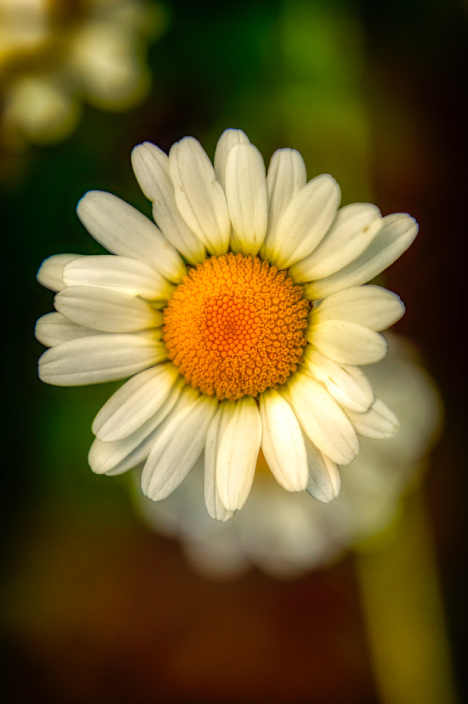 E8 A5559 Edited 1223 20x30 Crop Photography Art | Michael Malandra Fine Art & Photography