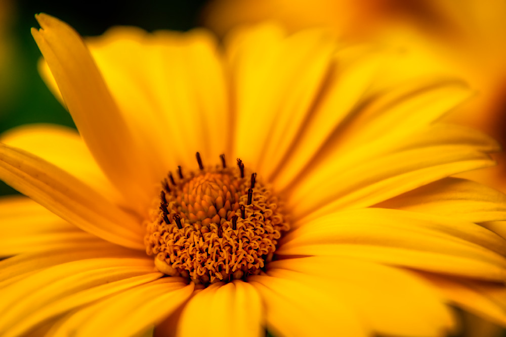 E8 A5684 Edited 1223 20x30 Crop Photography Art | Michael Malandra Fine Art & Photography