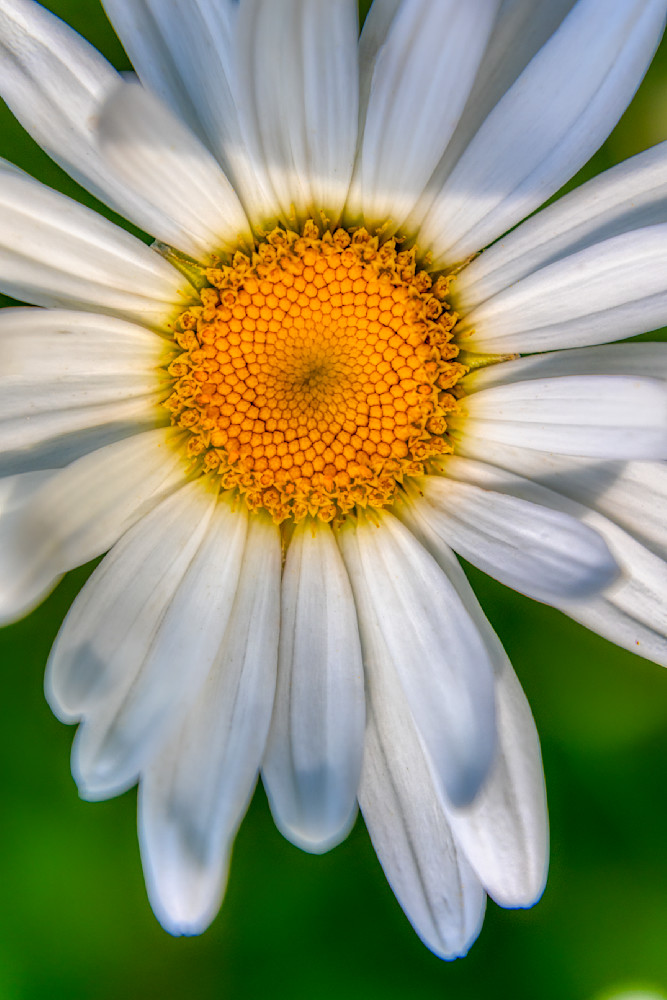 E8 A5595 Edited 1223 20x30 Crop Photography Art | Michael Malandra Fine Art & Photography