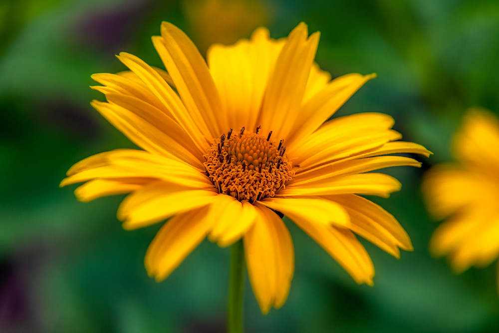 E8 A5695 Edited 1223 20x30 Crop Photography Art | Michael Malandra Fine Art & Photography