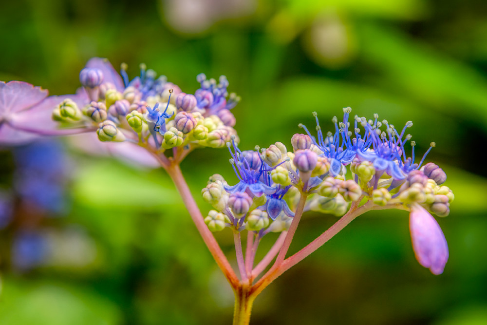 E8 A5810 Edited 1223 20x30 Crop Photography Art | Michael Malandra Fine Art & Photography