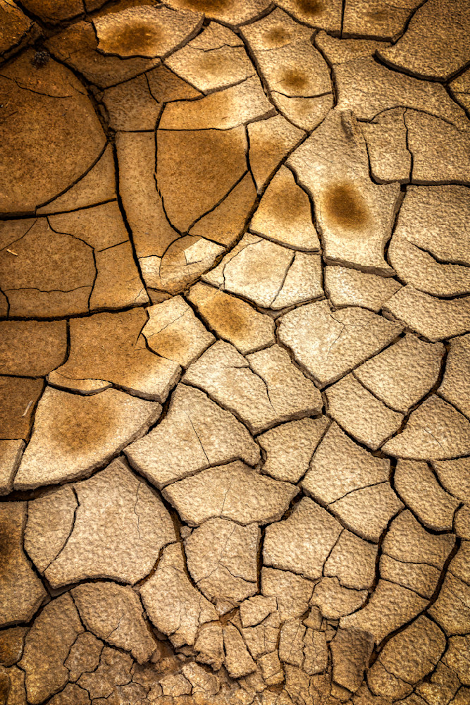 E8 A6653 Edited 0124 20x30 Crop Photography Art | Michael Malandra Fine Art & Photography