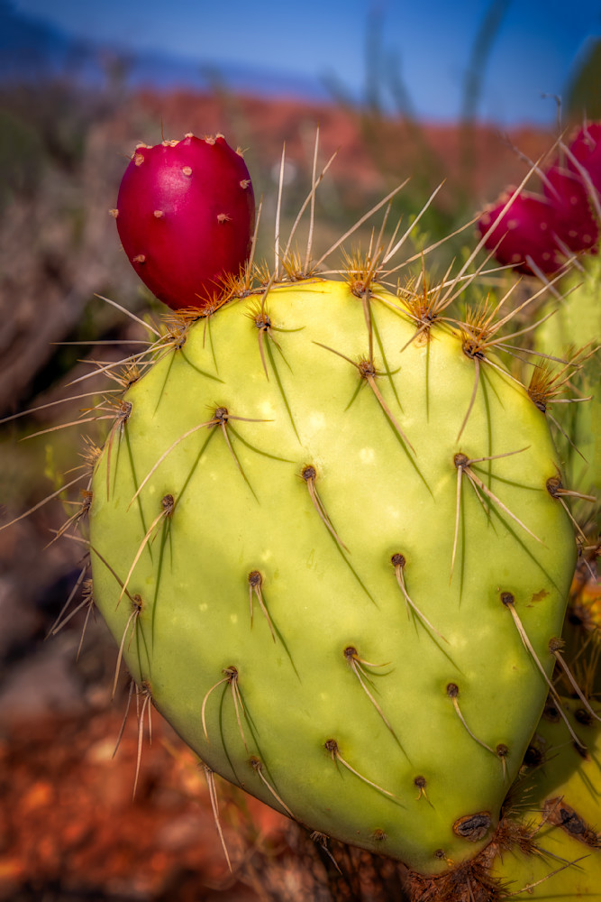 E8 A7207 Edited 1123 20x30 Crop Photography Art | Michael Malandra Fine Art & Photography