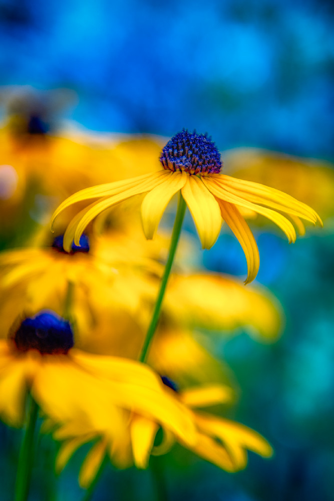 E8 A7495 Edited 1223 20x30 Crop Photography Art | Michael Malandra Fine Art & Photography