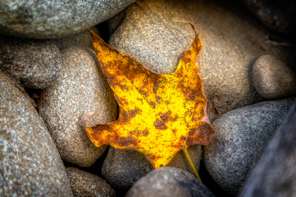 E8 A8637 Edited 1223 20x30 Crop Photography Art | Michael Malandra Fine Art & Photography