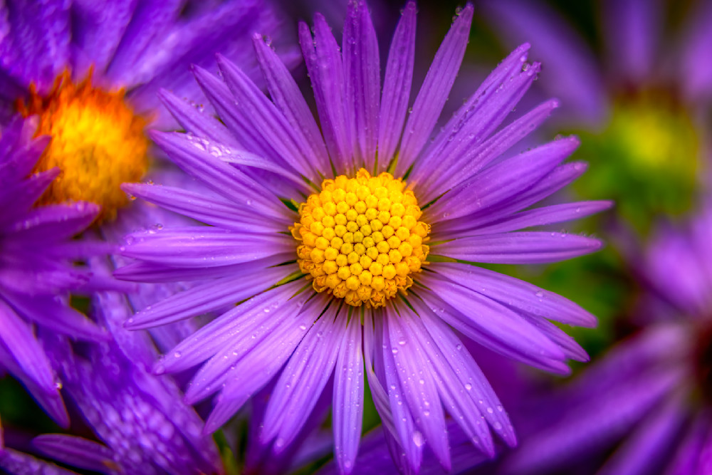 E8 A9844 Edited 2 1223 20x30 Crop Photography Art | Michael Malandra Fine Art & Photography