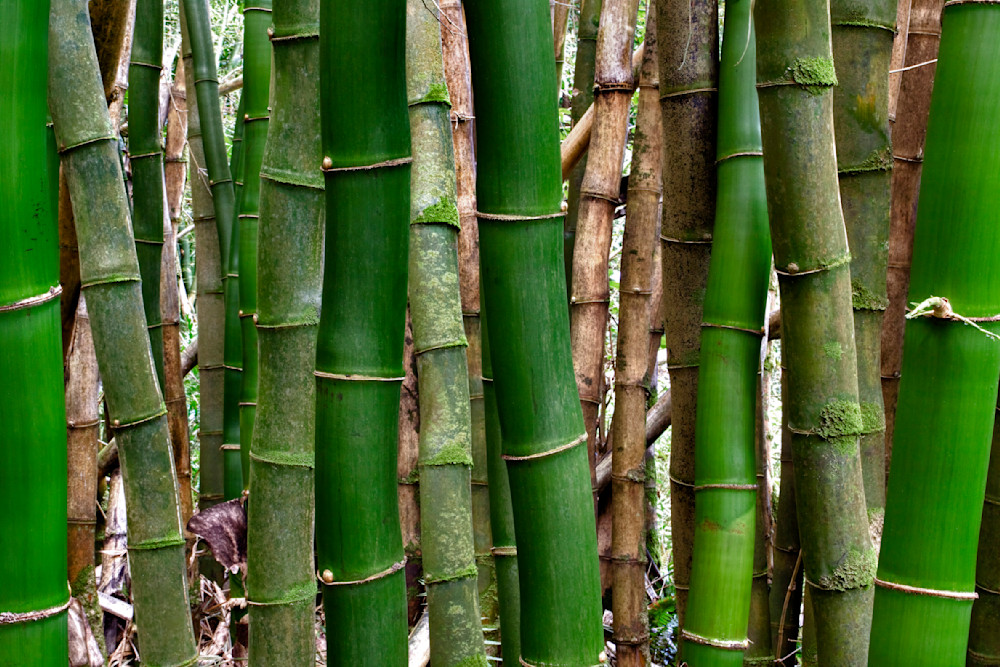 Mg 0729 Edited 1223 20x30 Crop Photography Art | Michael Malandra Fine Art & Photography