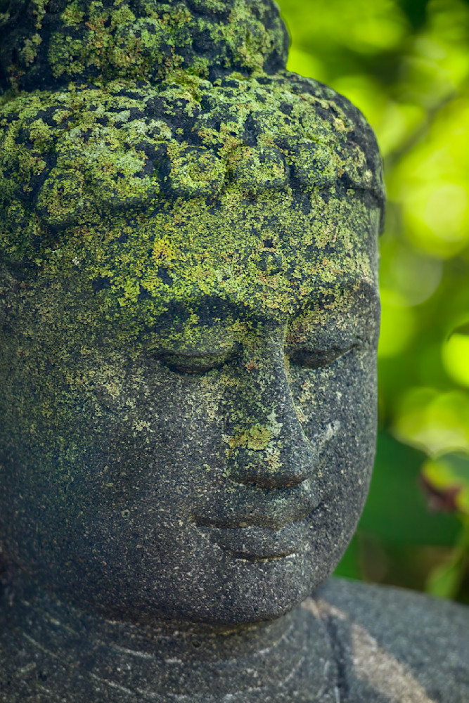 Edited Mg 6690 1223 20x30 Crop Photography Art | Michael Malandra Fine Art & Photography