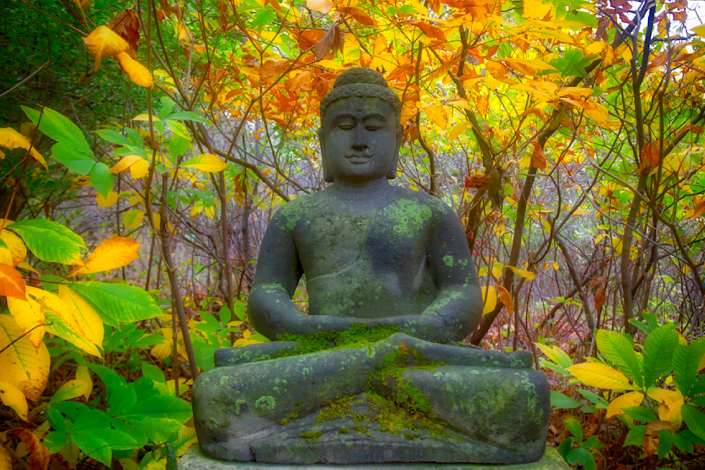 Mg 4898 Edited 1123 20x30 Crop Photography Art | Michael Malandra Fine Art & Photography