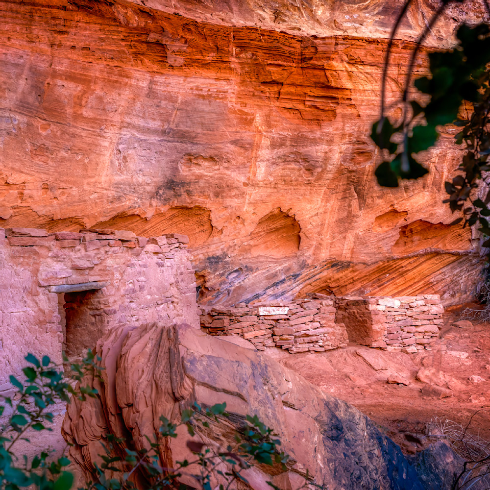 E8 A3629 Edited 1123 12x12 Crop Photography Art | Michael Malandra Fine Art & Photography