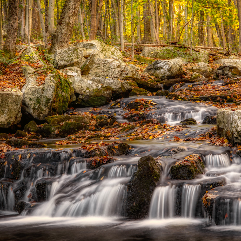 E8 A0640 12x12 Crop 1223 Photography Art | Michael Malandra Fine Art & Photography