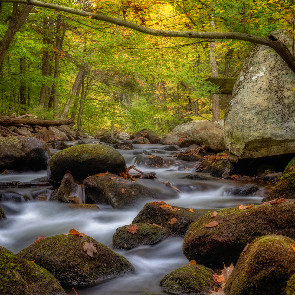 E8 A0005 12x12 Crop 1223 Photography Art | Michael Malandra Fine Art & Photography