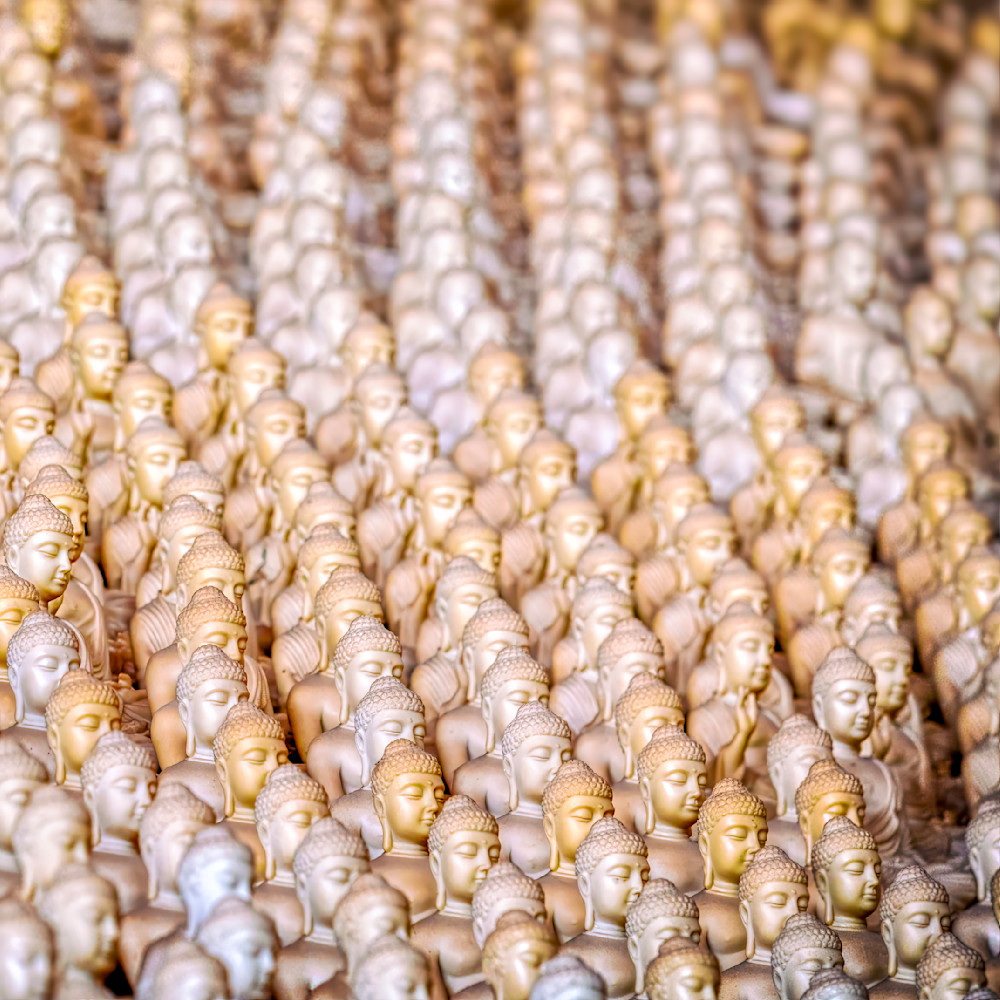 E8 A4866 Edited 1123 12x12 Crop Photography Art | Michael Malandra Fine Art & Photography