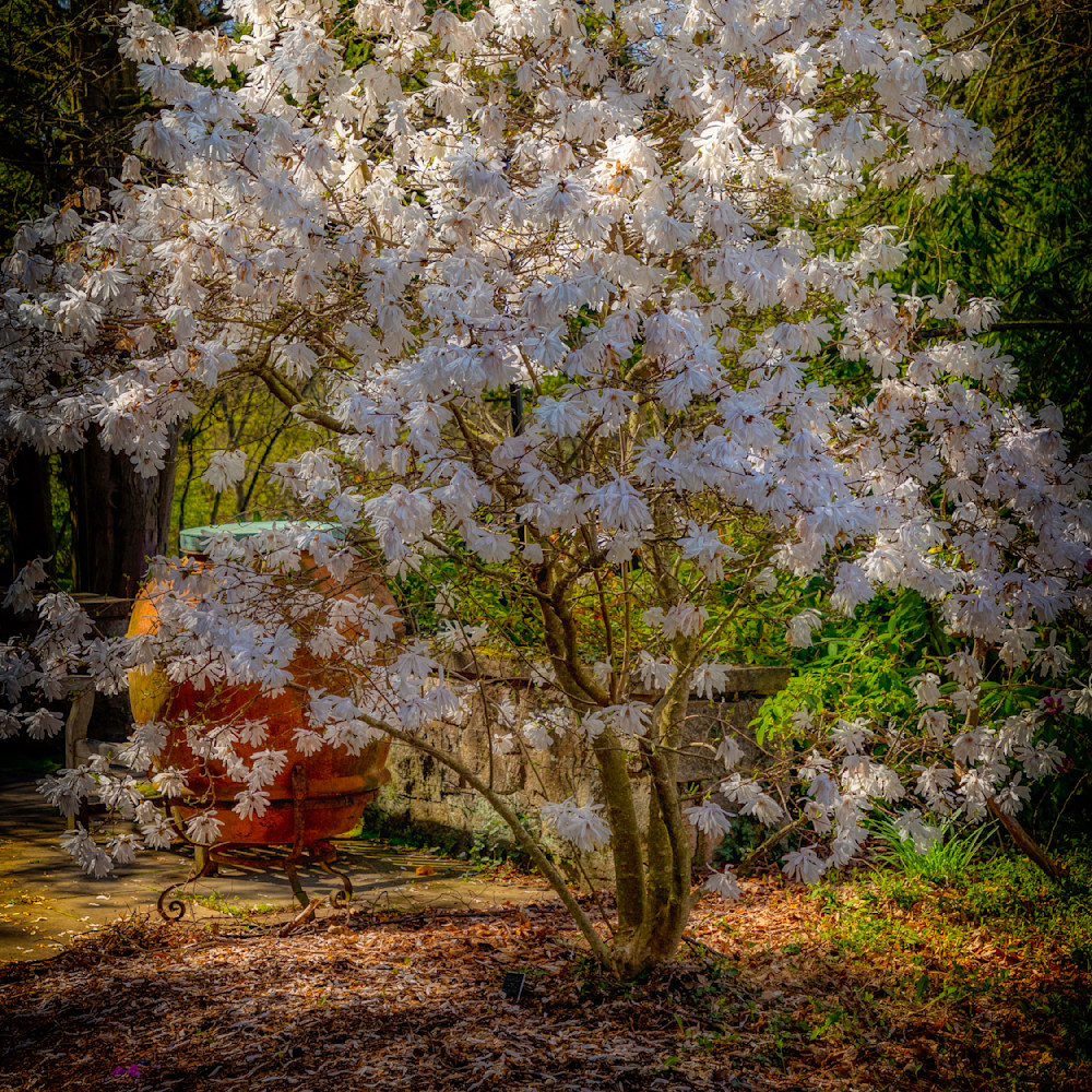 E8 A3679 12x12 Crop 1223 Photography Art | Michael Malandra Fine Art & Photography