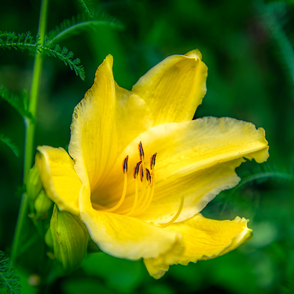 E8 A5532 12x12 Crop 1223 Photography Art | Michael Malandra Fine Art & Photography